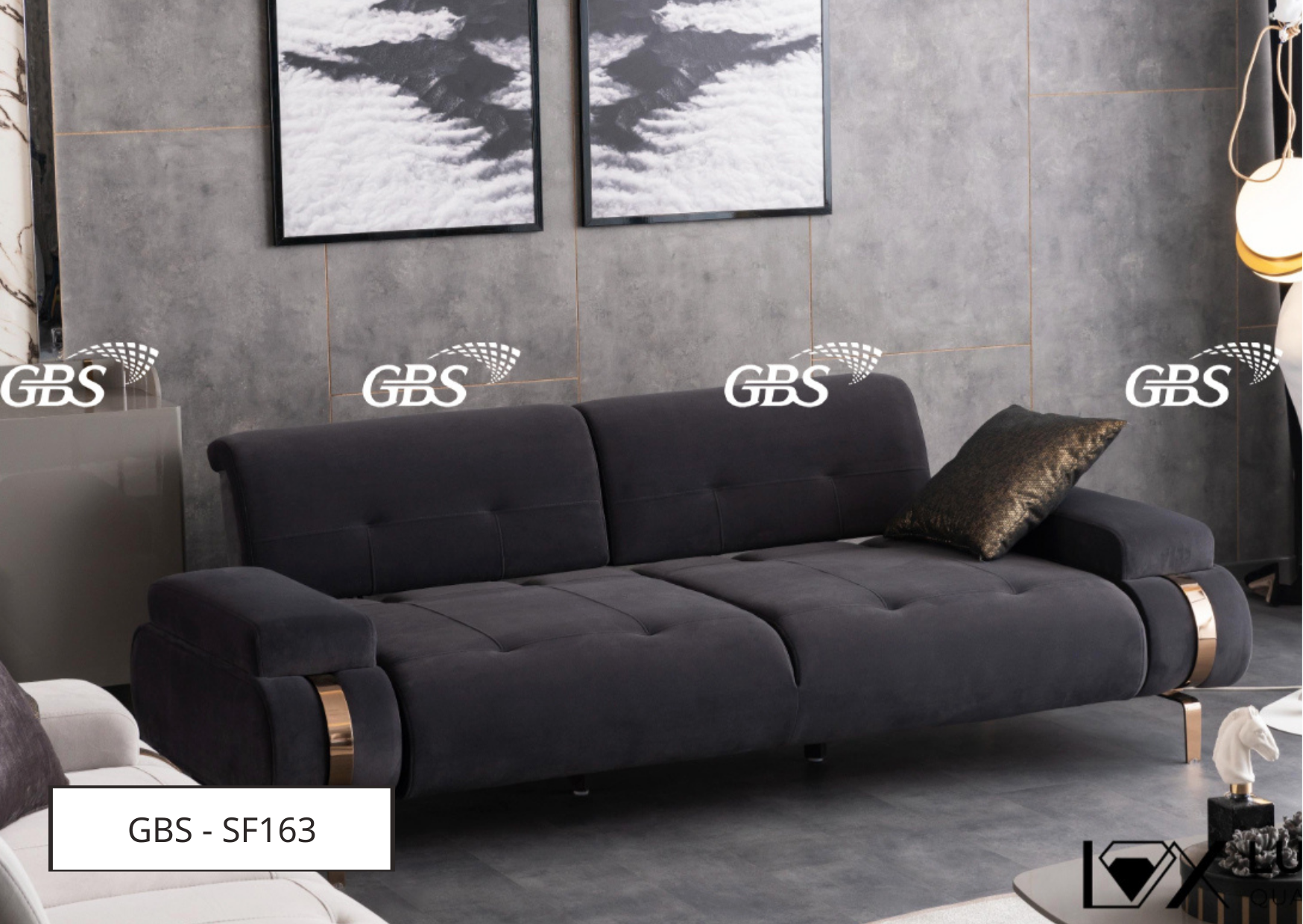 GBS - SF163