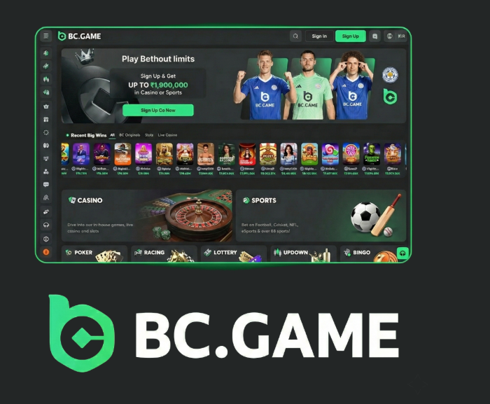 Exploring BC.Game Crypto Casino A New Era in Online Gaming